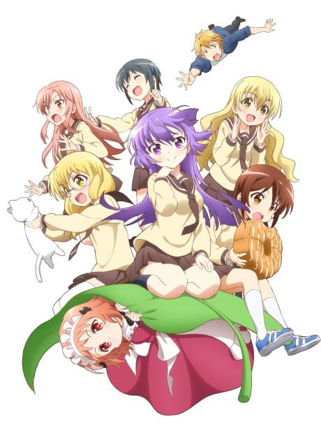 DVD Edition