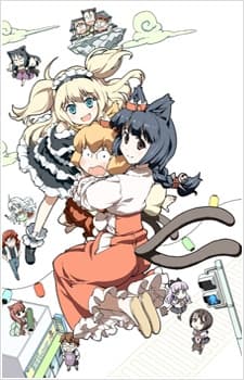 DVD Edition