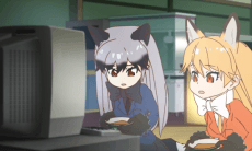 DVD Edition