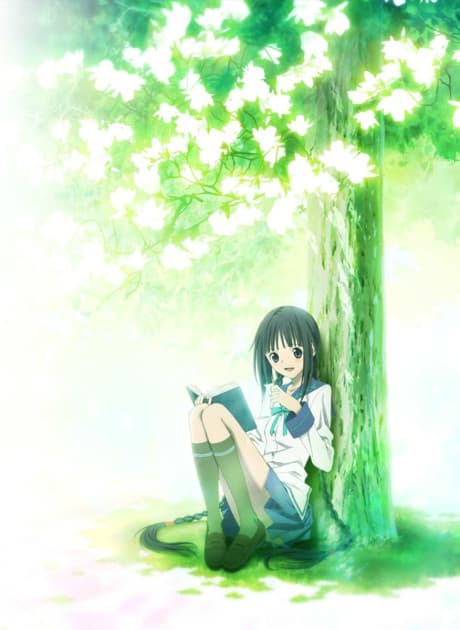 DVD Edition