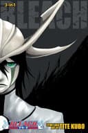 Bleach #14