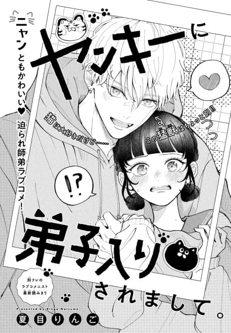 Yankee ni Deshiiri Saremashite.