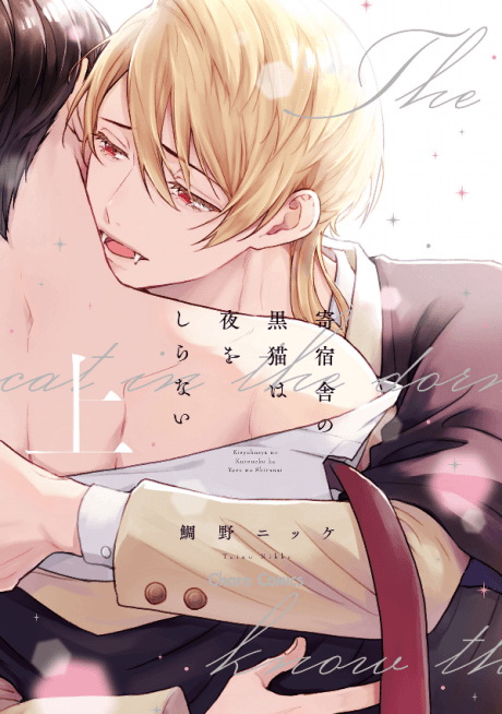 The Black Cat & the Vampire