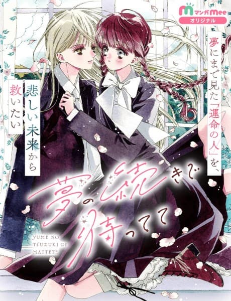 Yume no Tsuzuki de Mattete