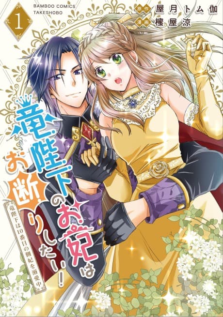 Ryuu Heika no Okisaki wa Okotowari Shitai!: Ryuu Heika wa 10-Banme no Sobahi wo Dekiai-chuu