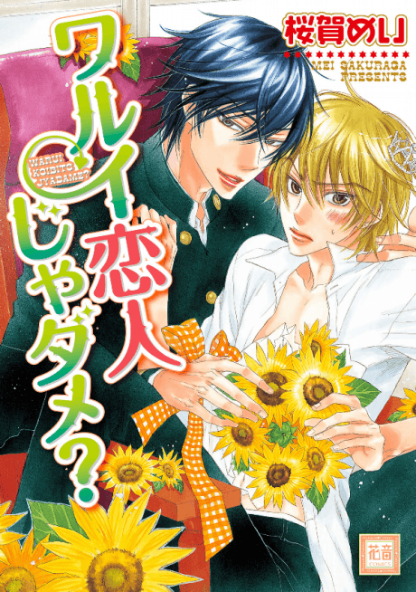 Warui Koibito ja Dame?
