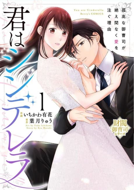 Kimi wa Cinderella: Kokou na Onzoushi ga Taema Naku Ai wo Sosogu Riyuu