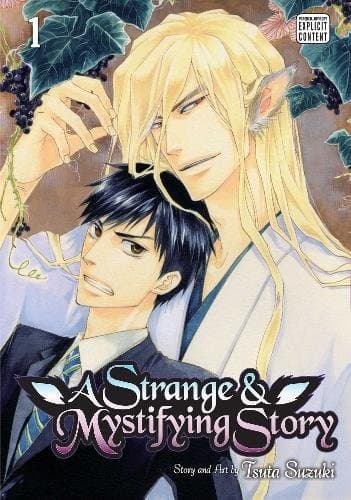 A Strange and Mystifying Story