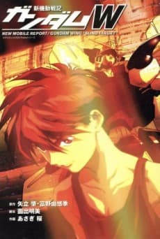 Mobile Suit Gundam Wing Blind Target