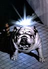 Lockjaw