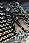 Shadowhawk