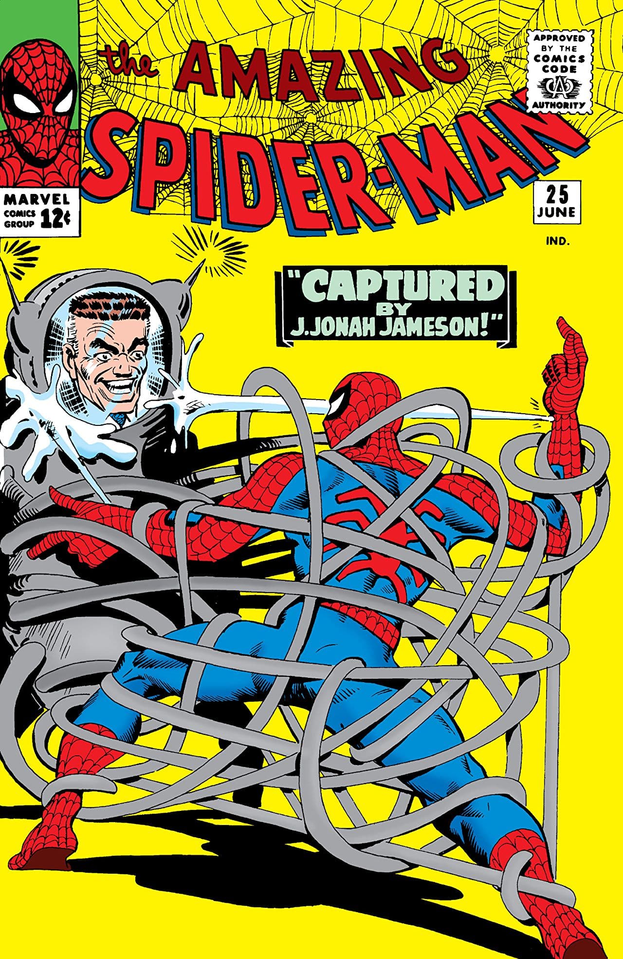 The Amazing Spider-Man #25