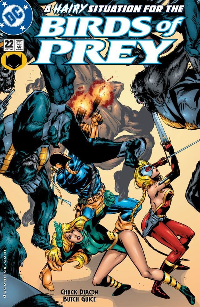 Birds of Prey #22 cover
