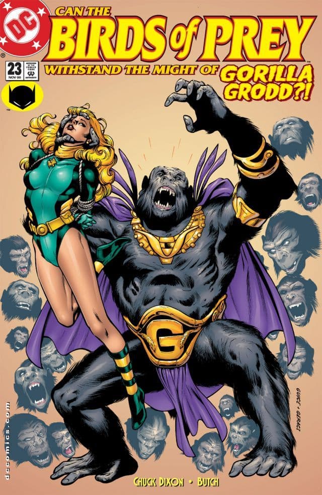 Birds of Prey #23 cover