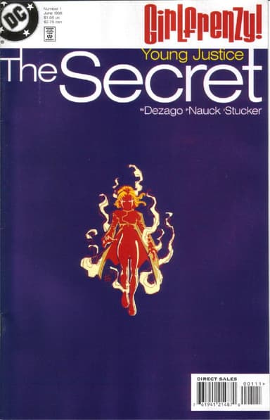 Young Justice: The Secret