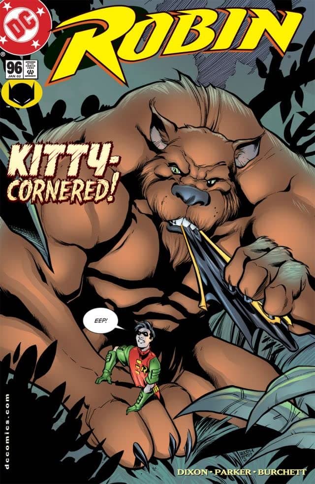 Robin #96 cover