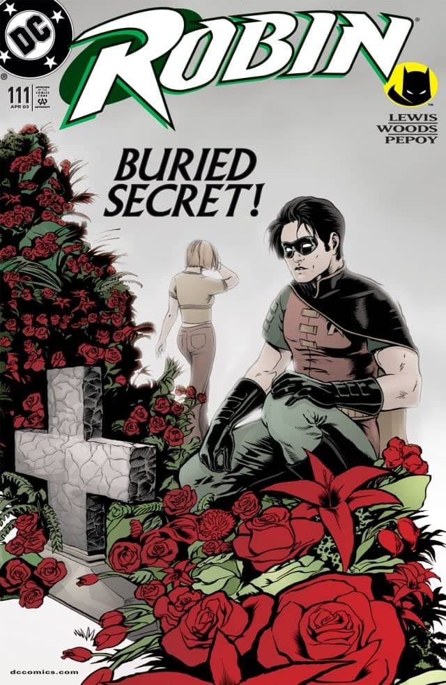 Robin #111 cover