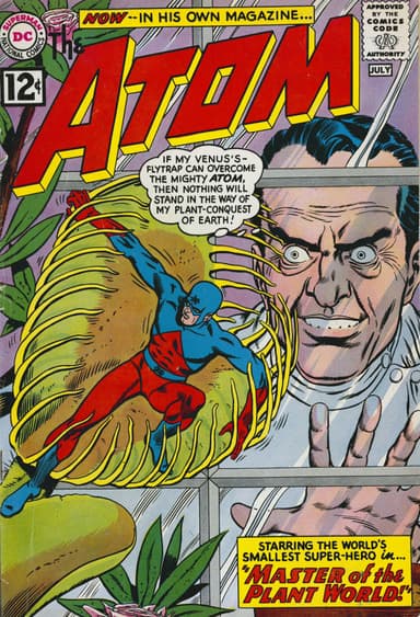 The Atom