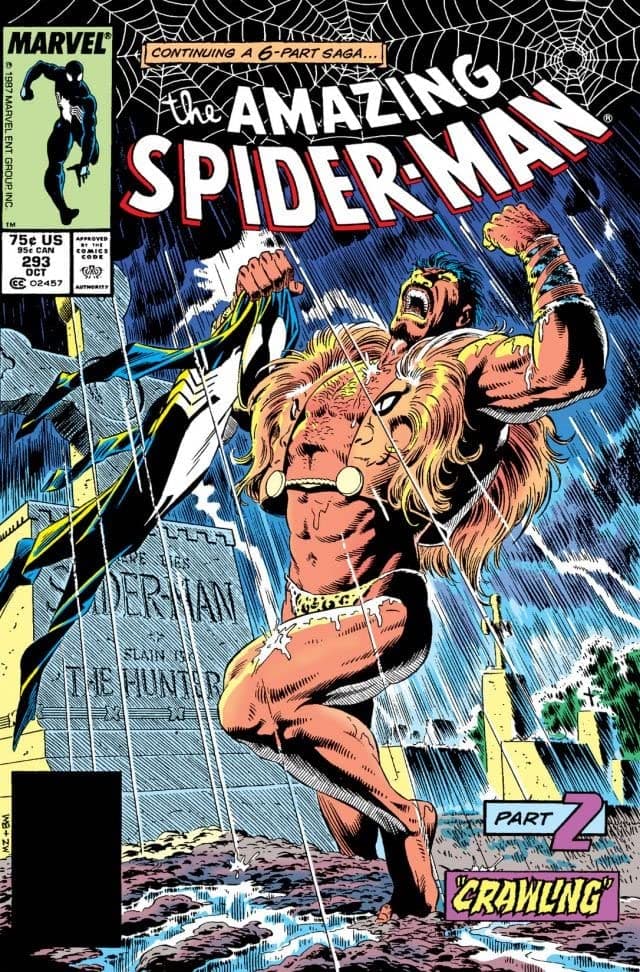 The Amazing Spider-Man #293 cover