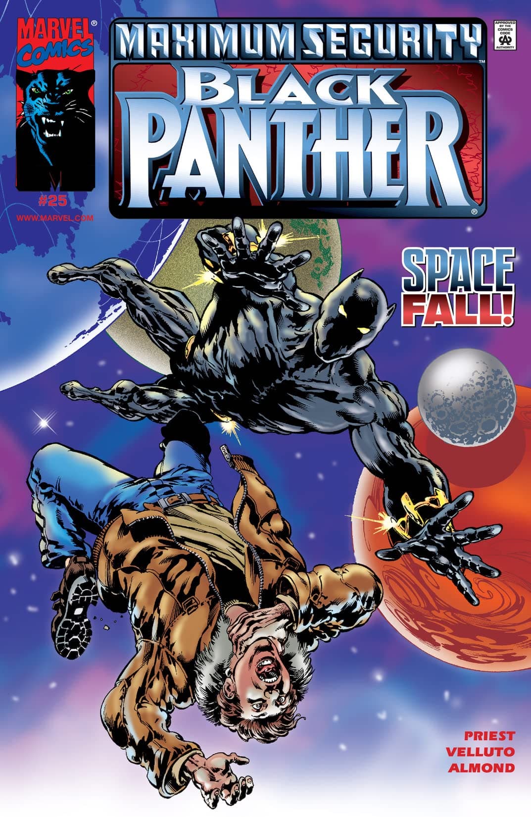 Black Panther #25 cover