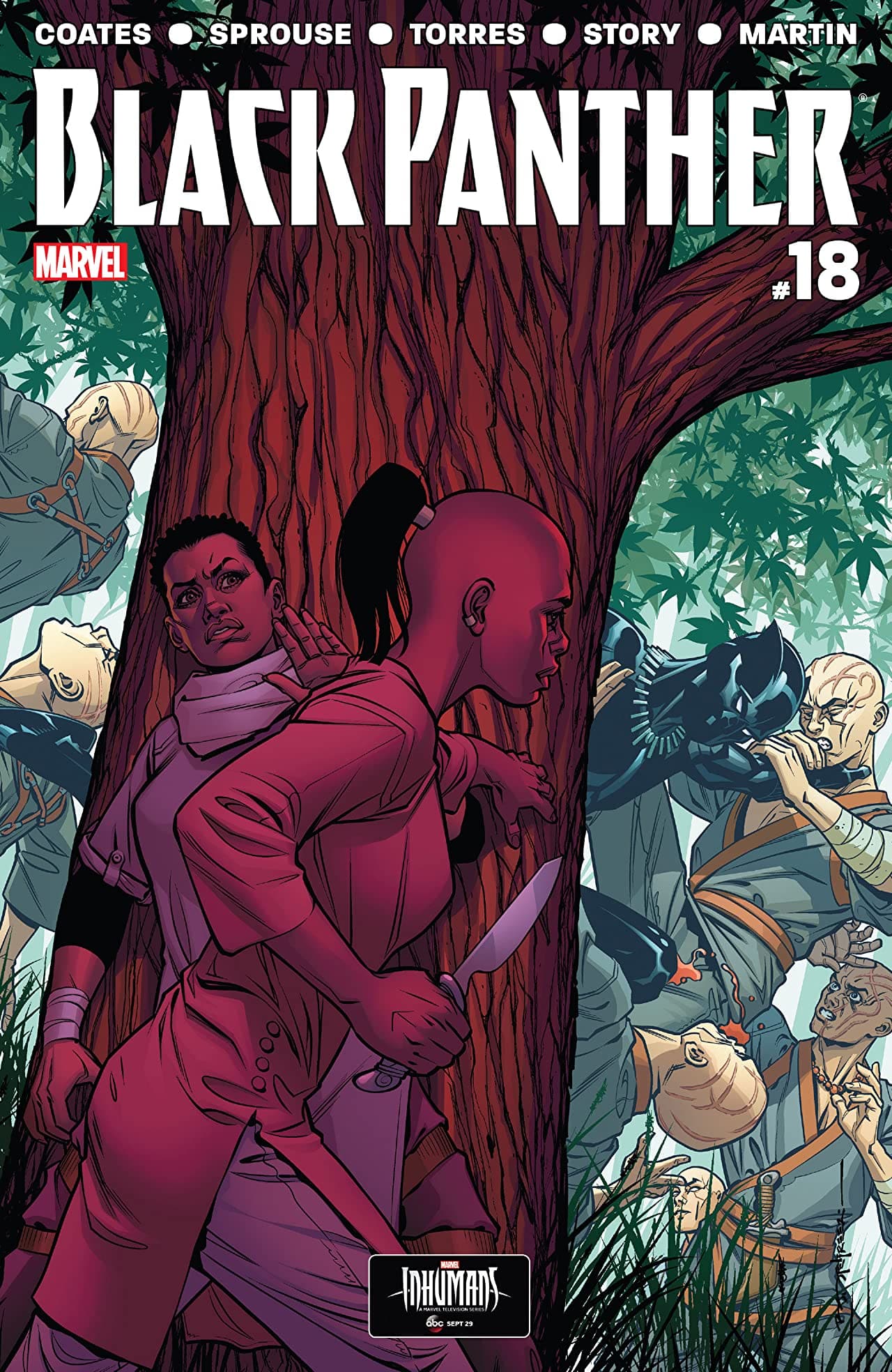 Black Panther #18 cover
