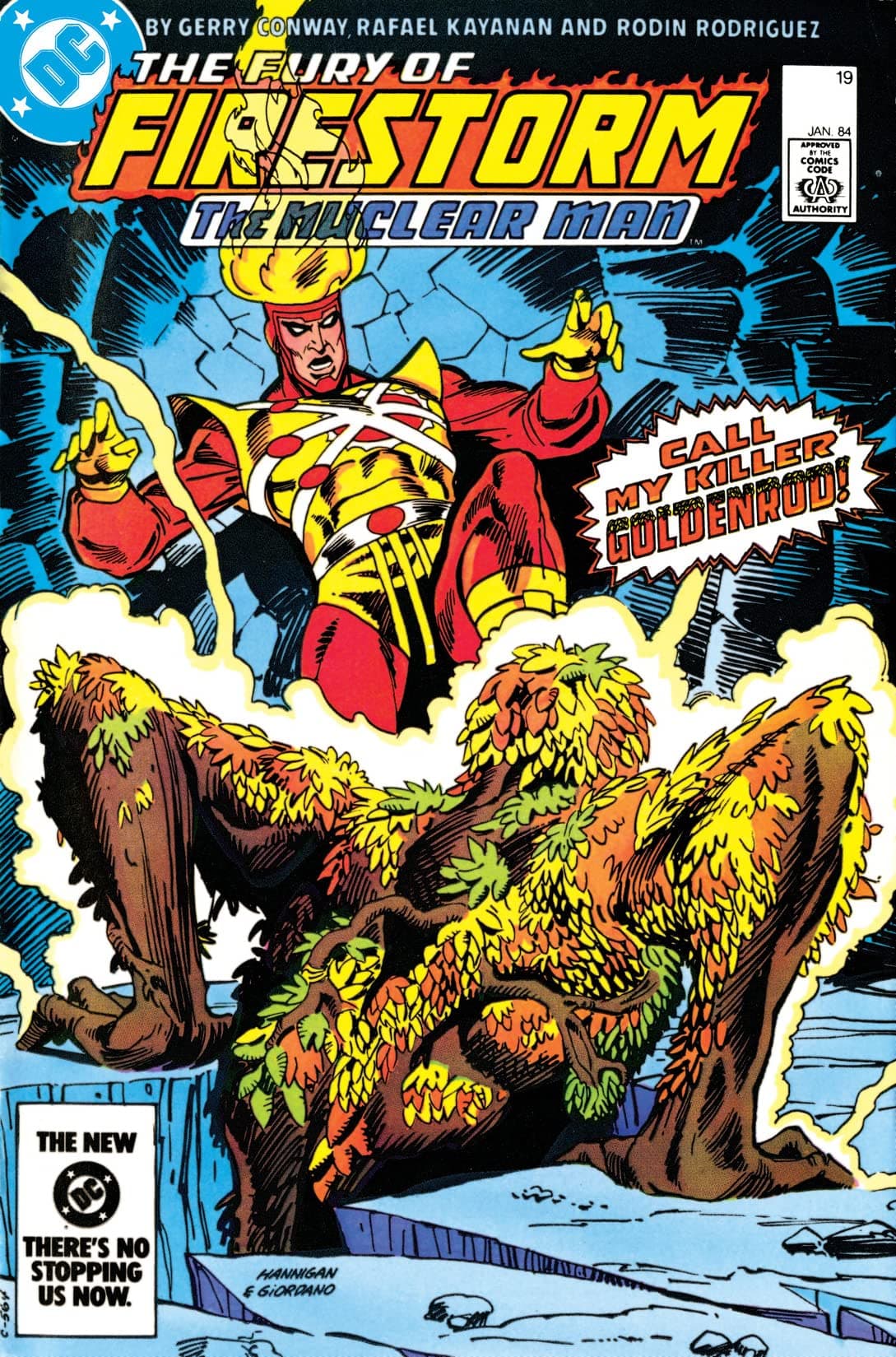 The Fury of Firestorm #19