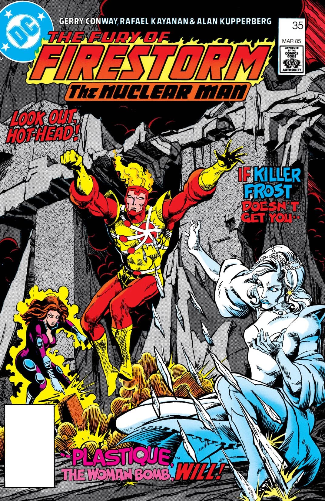 The Fury of Firestorm #35