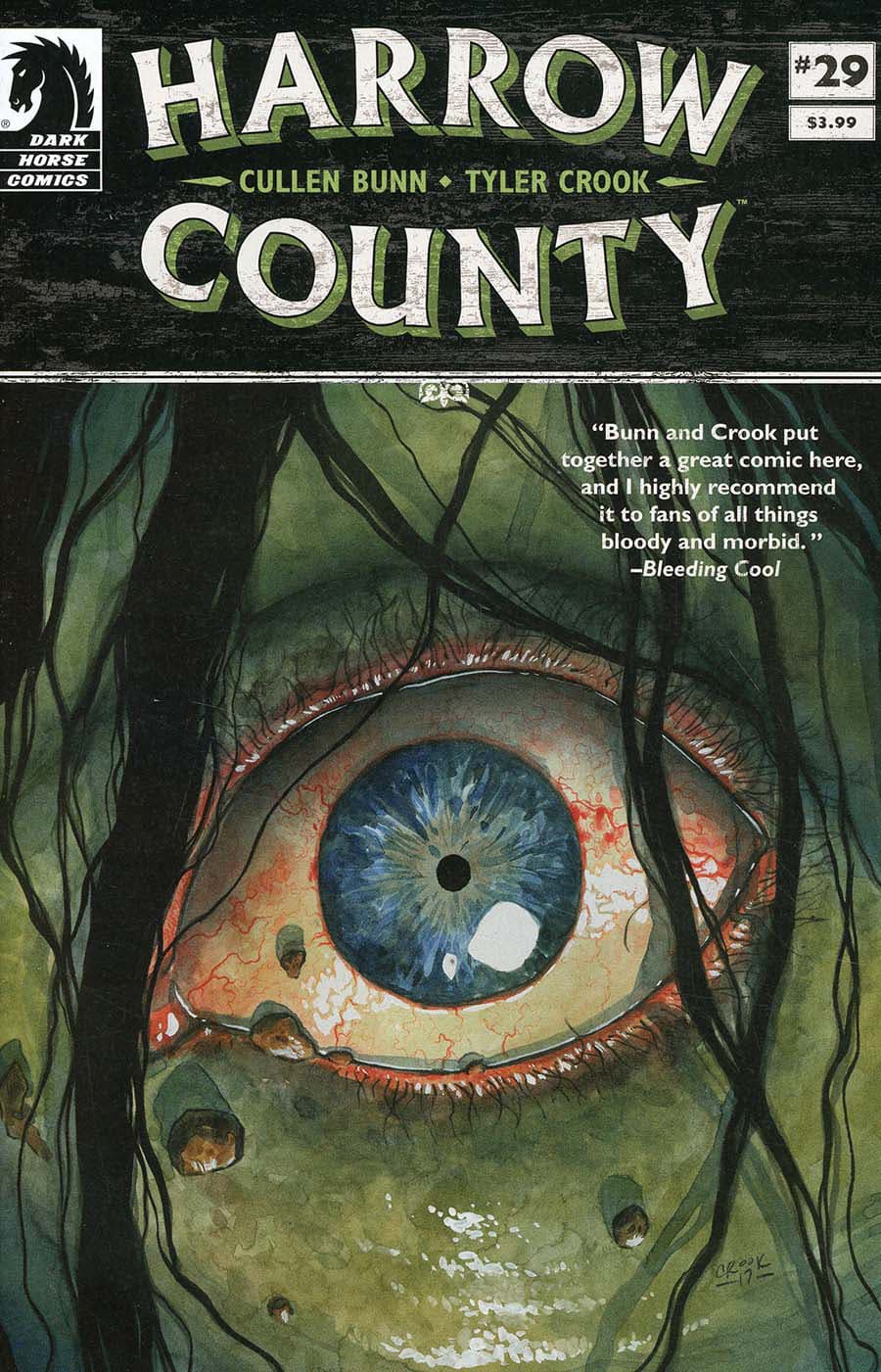 Harrow County #29 cover