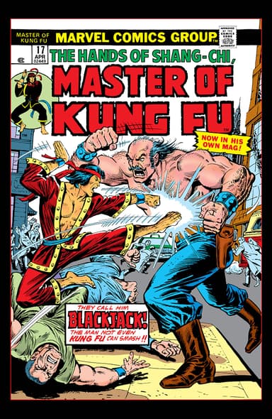 Master of Kung Fu