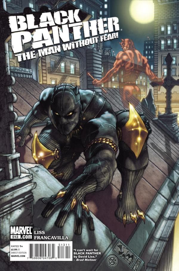 Black Panther: The Man Without Fear #513 cover