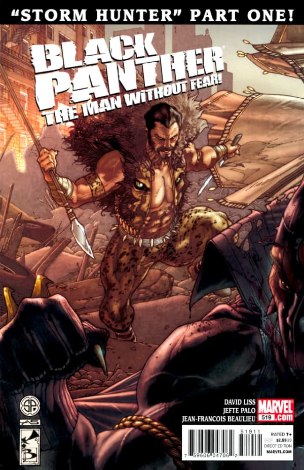 Black Panther: The Man Without Fear #519 cover