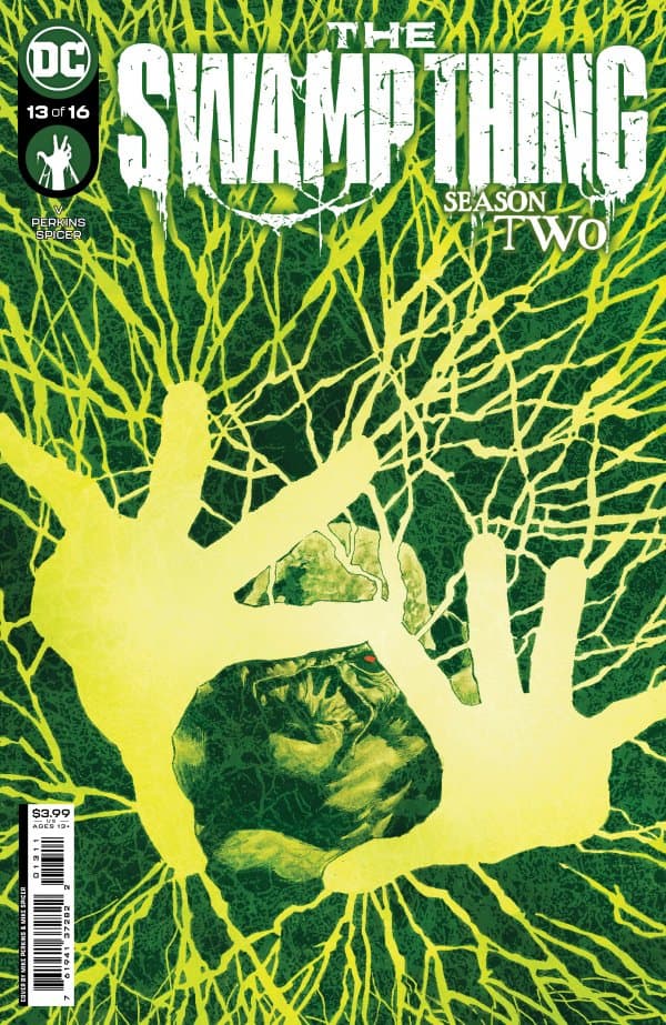 The Swamp Thing #13 cover