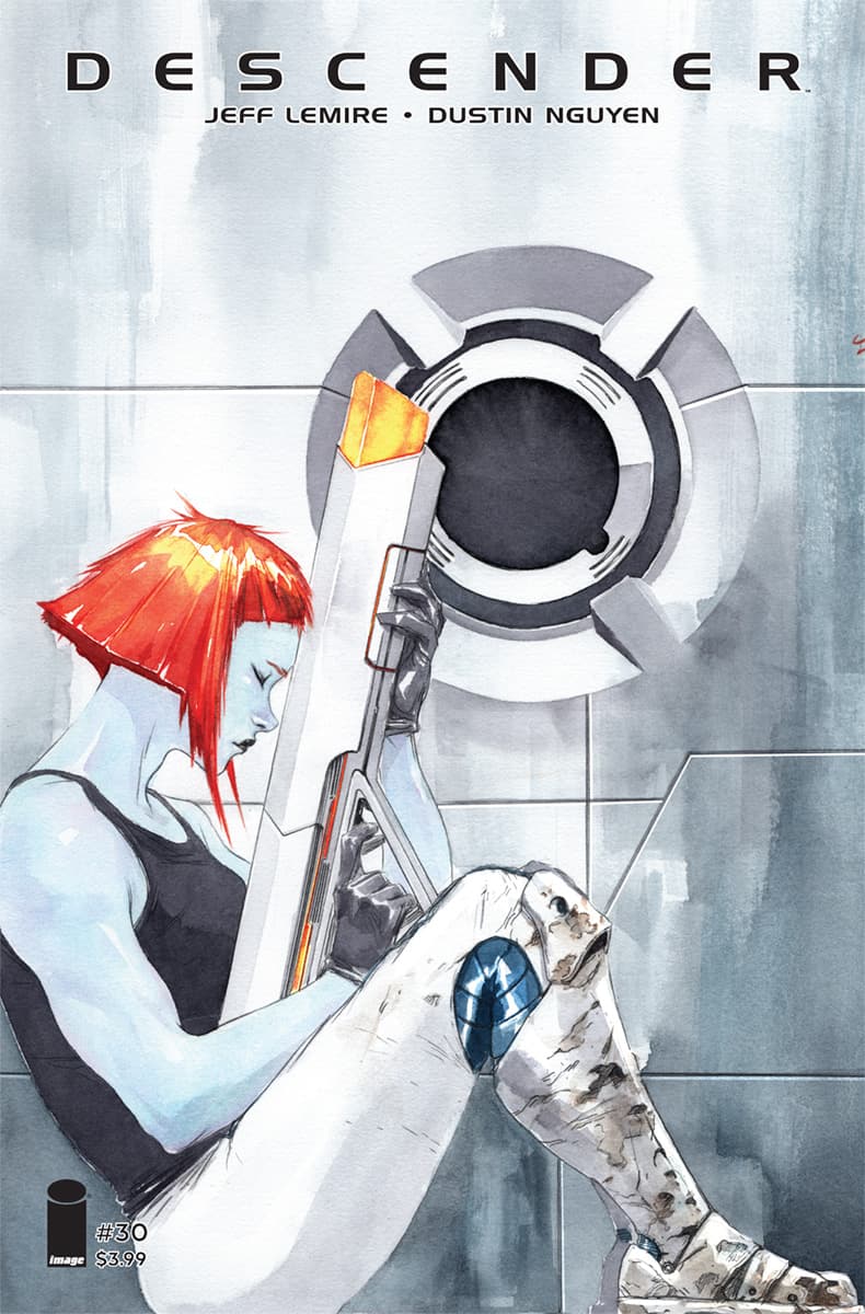 Descender #30 cover