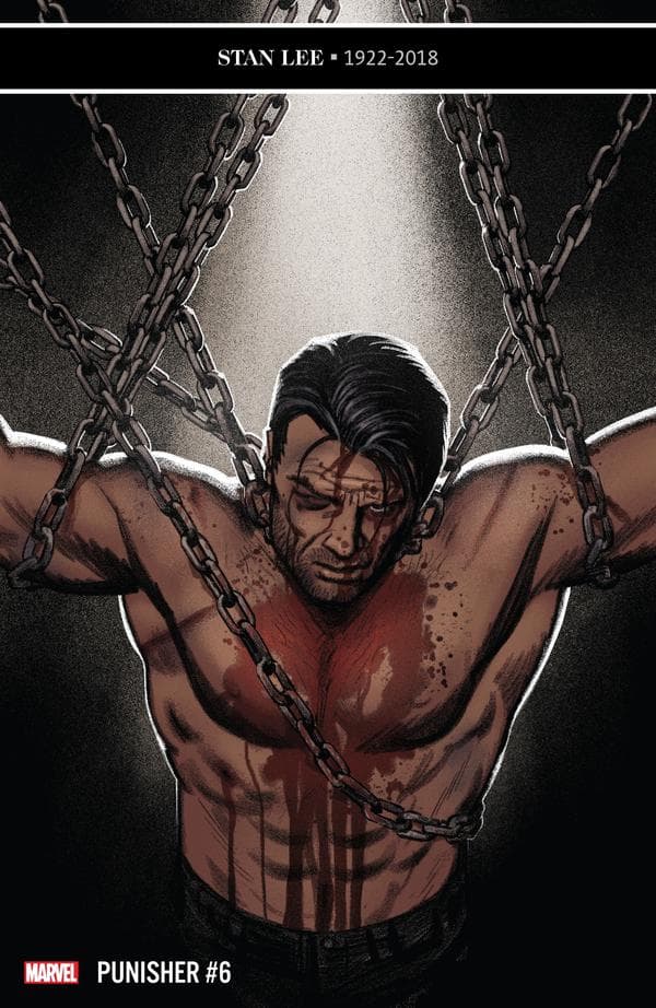 The Punisher #6 cover