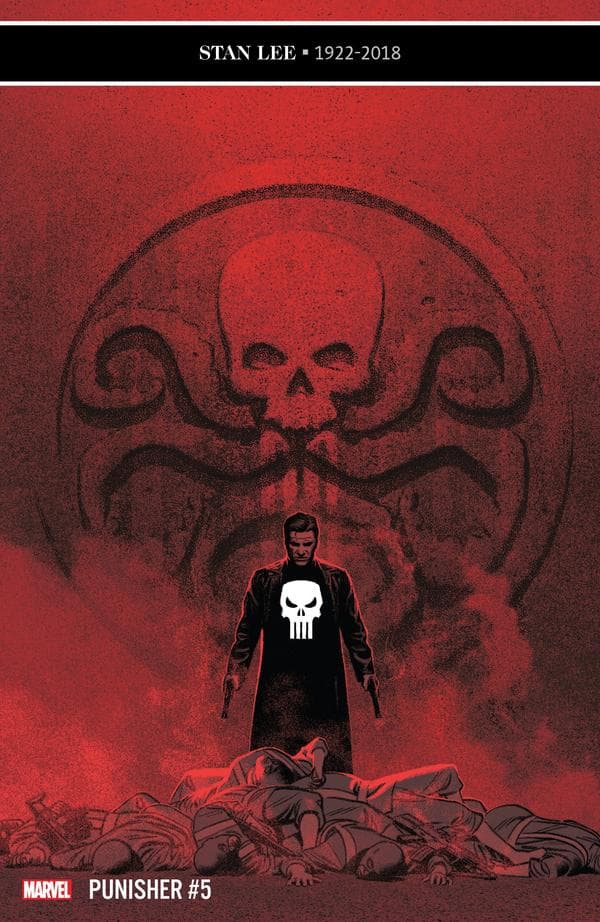 The Punisher #5 cover