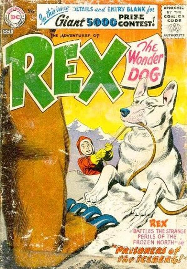 The Adventures of Rex the Wonder Dog #29 cover