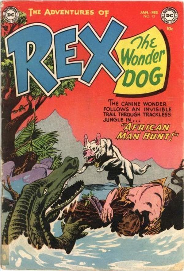 The Adventures of Rex the Wonder Dog #13 cover