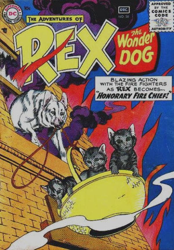 The Adventures of Rex the Wonder Dog #30 cover