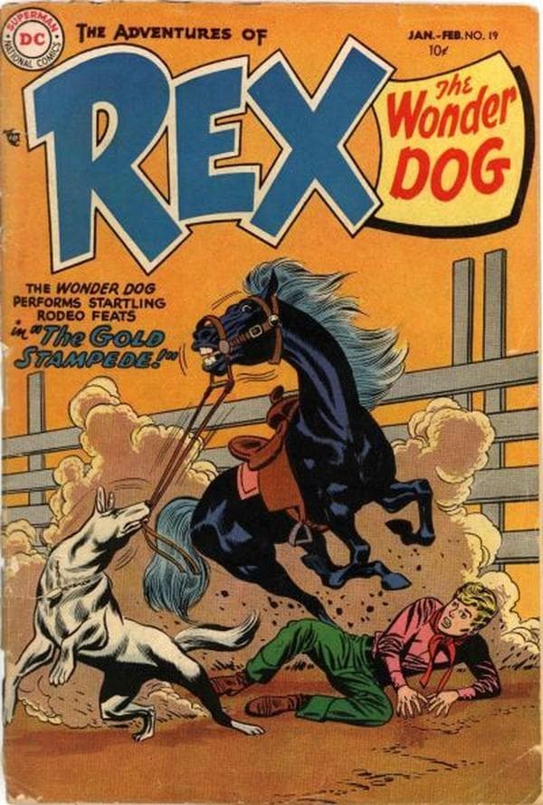 The Adventures of Rex the Wonder Dog #19 cover
