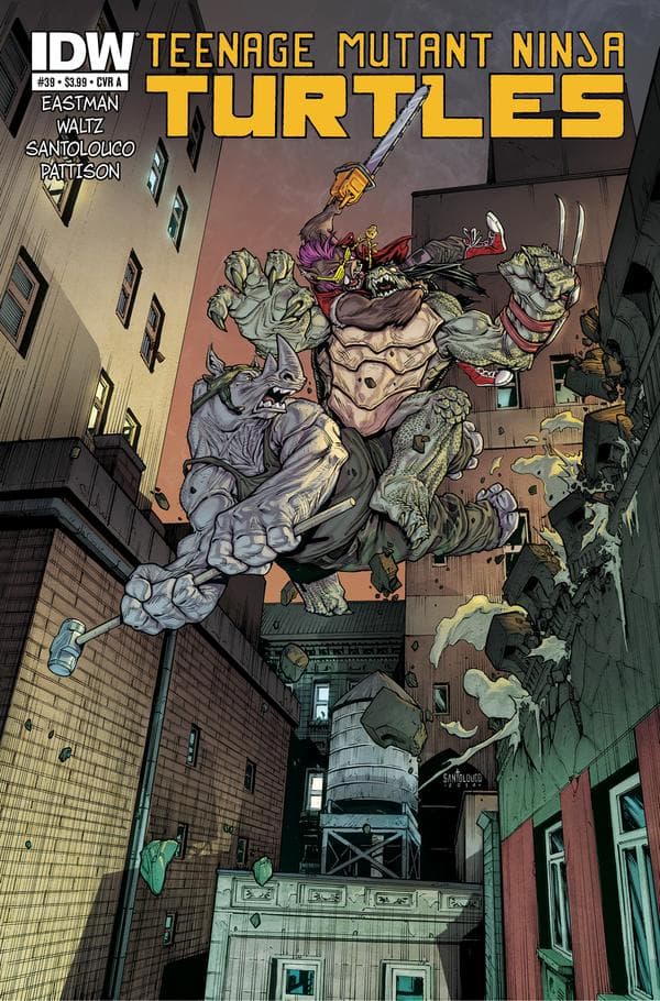 Teenage Mutant Ninja Turtles #39 cover