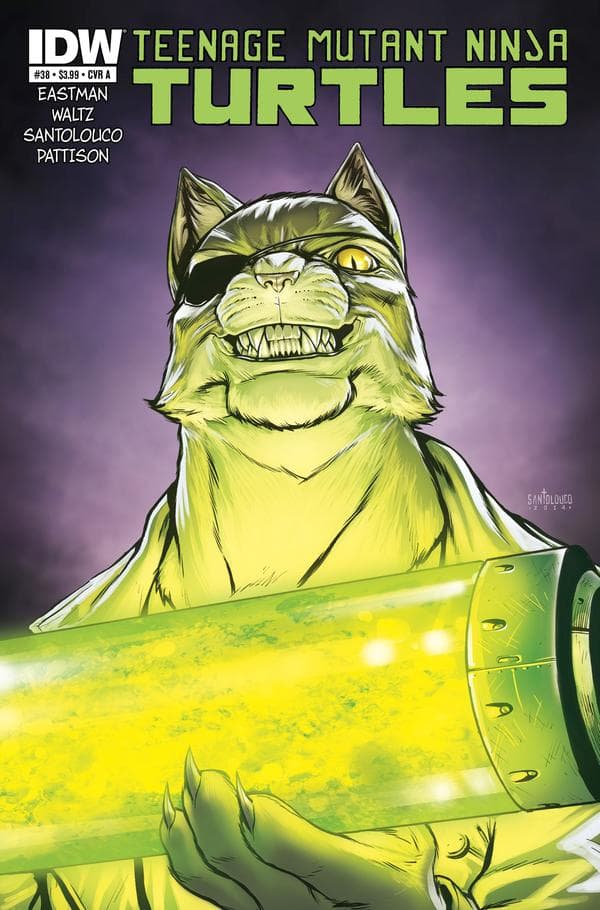 Teenage Mutant Ninja Turtles #38 cover