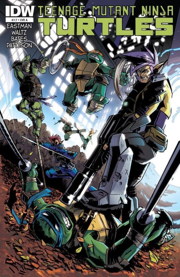 Teenage Mutant Ninja Turtles #17 cover