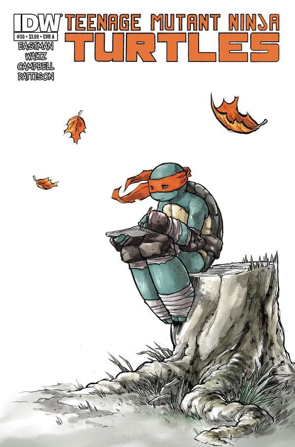 Teenage Mutant Ninja Turtles #30 cover
