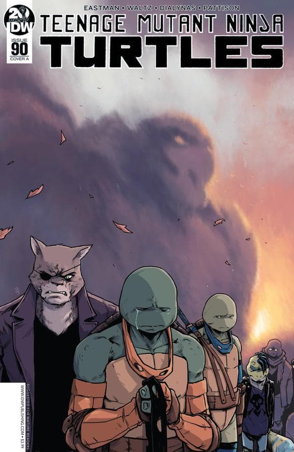 Teenage Mutant Ninja Turtles #90 cover