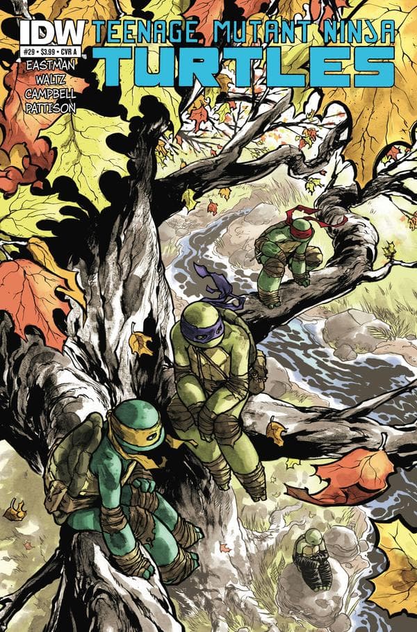 Teenage Mutant Ninja Turtles #29 cover
