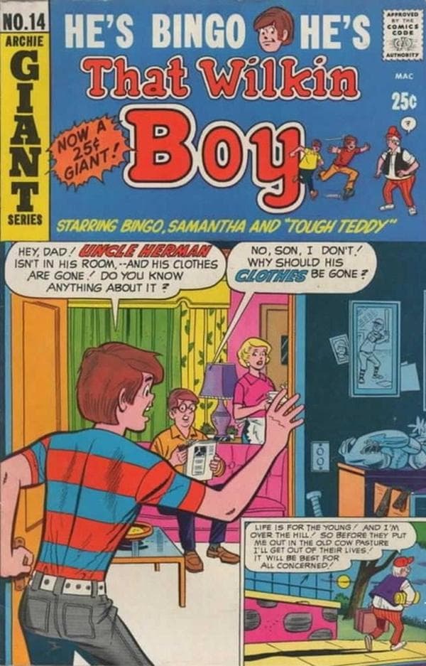 That Wilkin Boy #14 cover