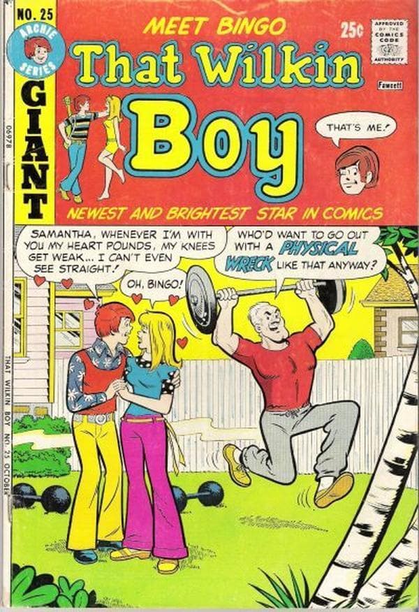 That Wilkin Boy #25 cover