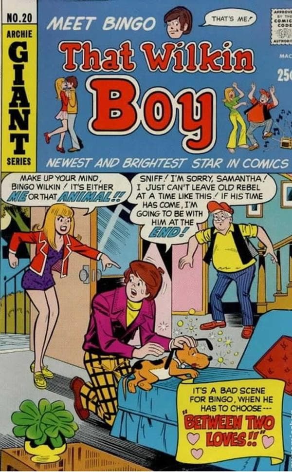 That Wilkin Boy #20 cover