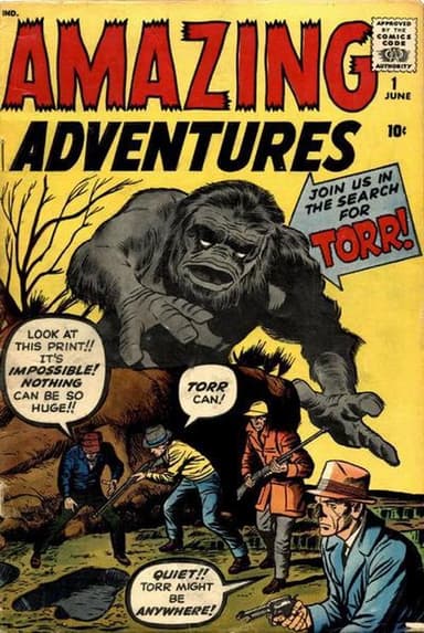 Amazing Adventures