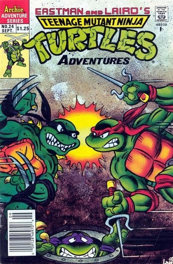 Teenage Mutant Ninja Turtles Adventures #24 cover